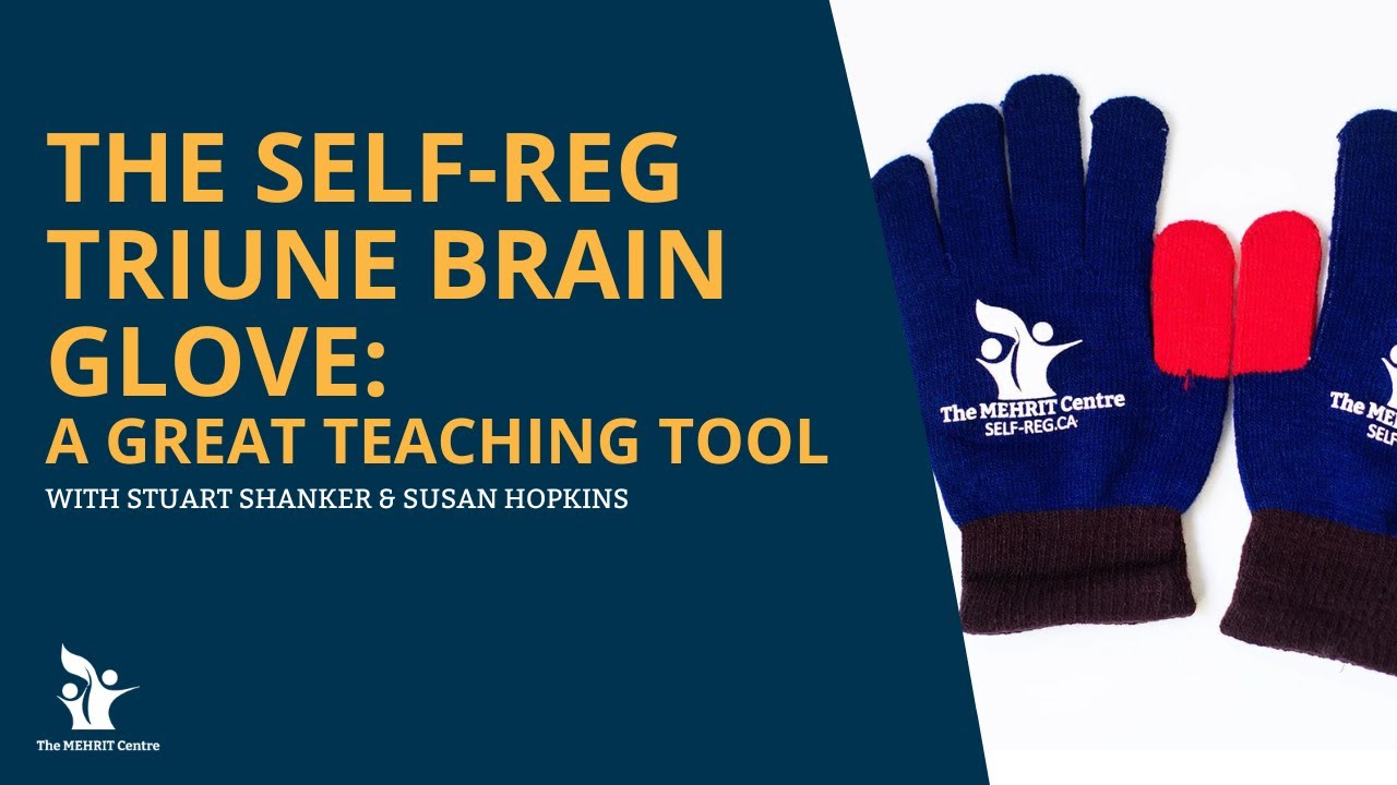 The Self-Reg Triune Brain Glove: A great teaching tool
