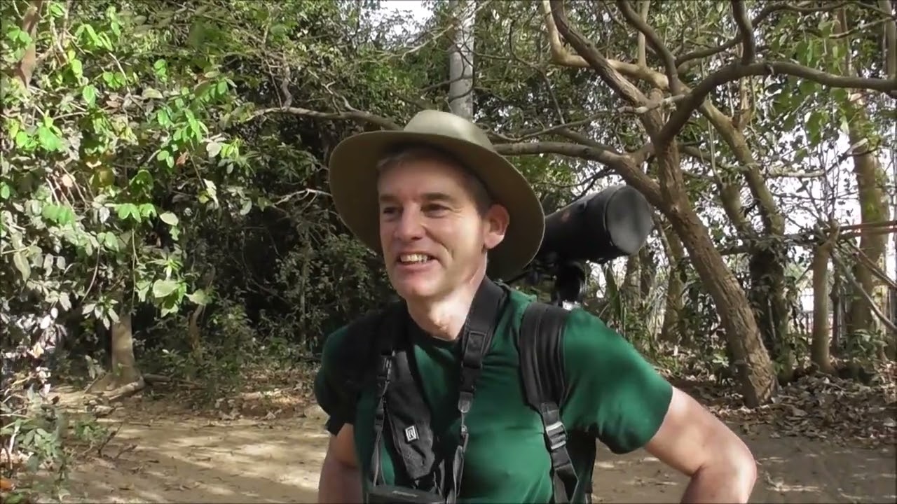 Gambia Day 4