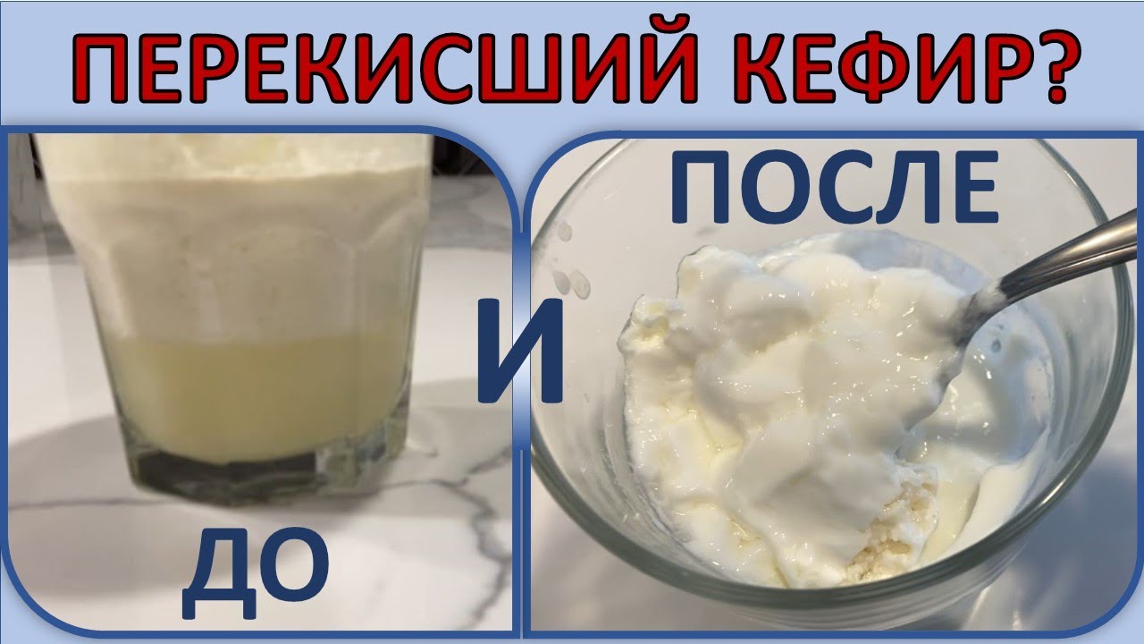 Как восстановить грибок, который начал делать перекисший (зернистый) кефир? 18 ч.