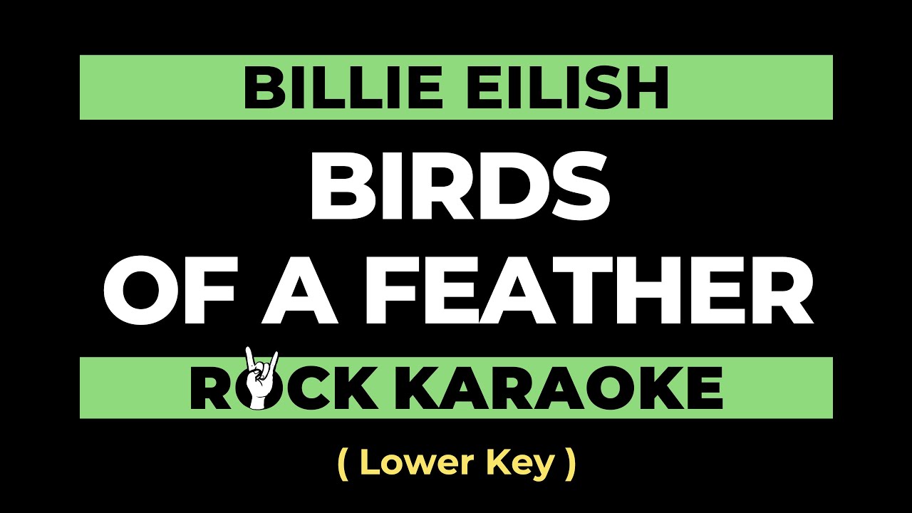 Billie Eilish - Birds of a Feather (Rock Karaoke) Lower Key