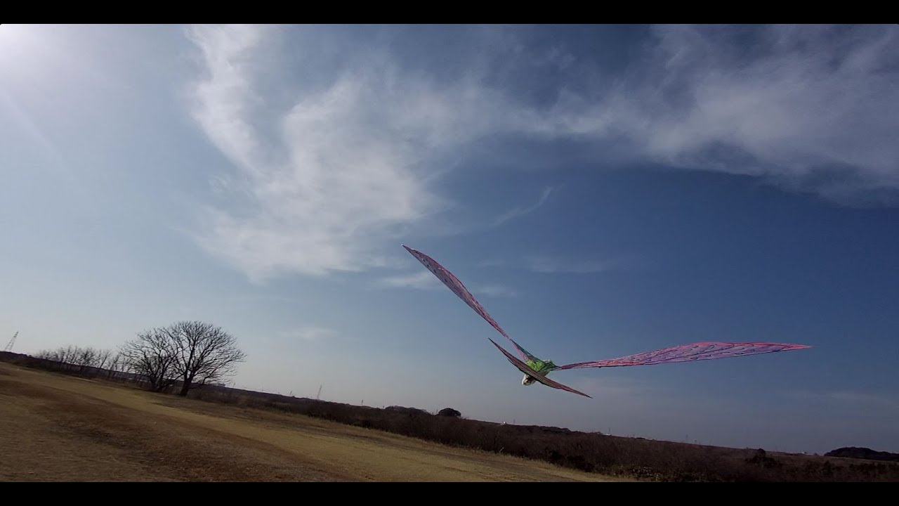鷹タカバタ1000幅41 5g和紙迎え角26x1x19V1 ‐ Clipchampで作成