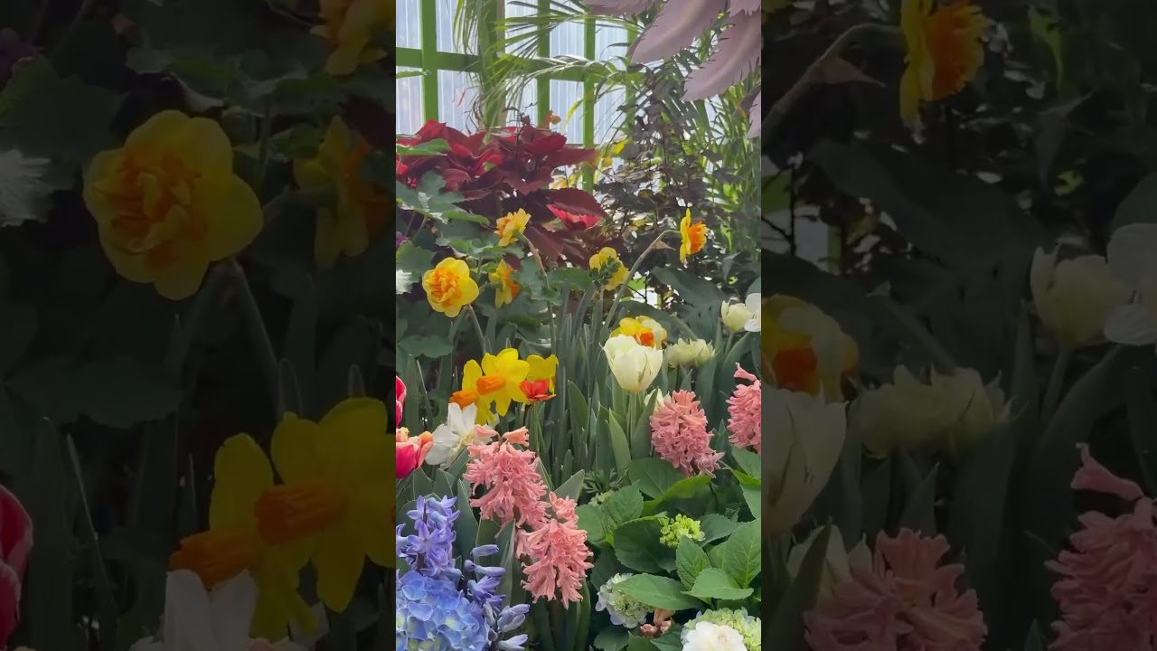 Floral  show. #real blooms#greenery