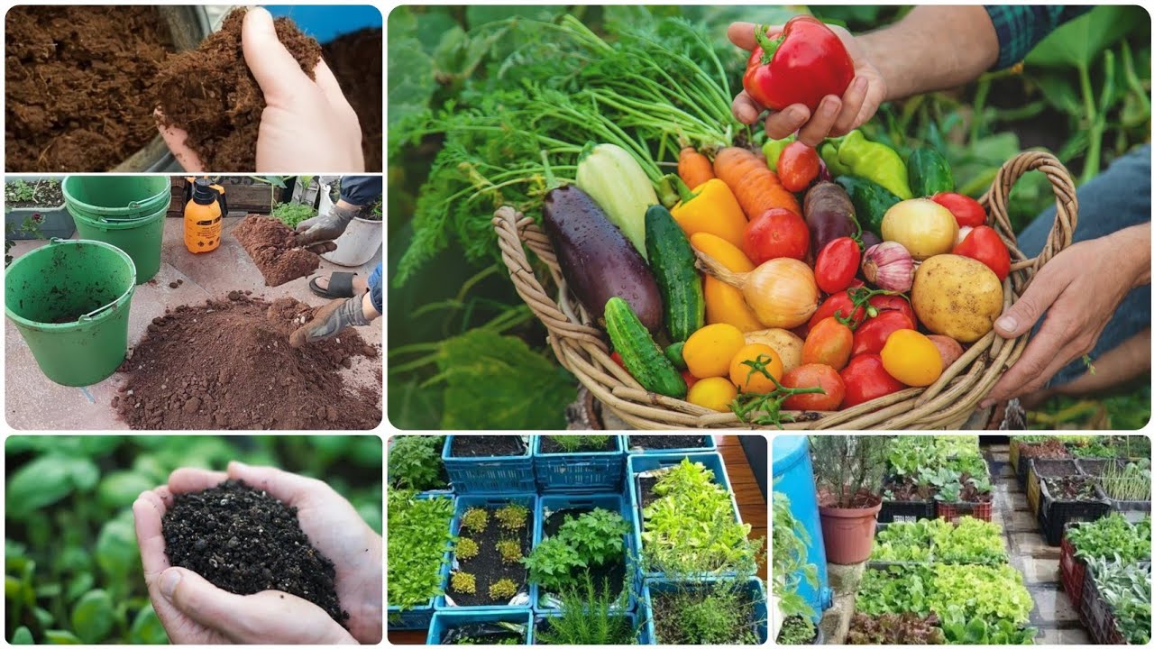 سر نجاح زراعتي المنزلية:🍅🥬🧺 #تربة_غنية حضرها بنفسك بسهولة ونتائج مضمونة!
