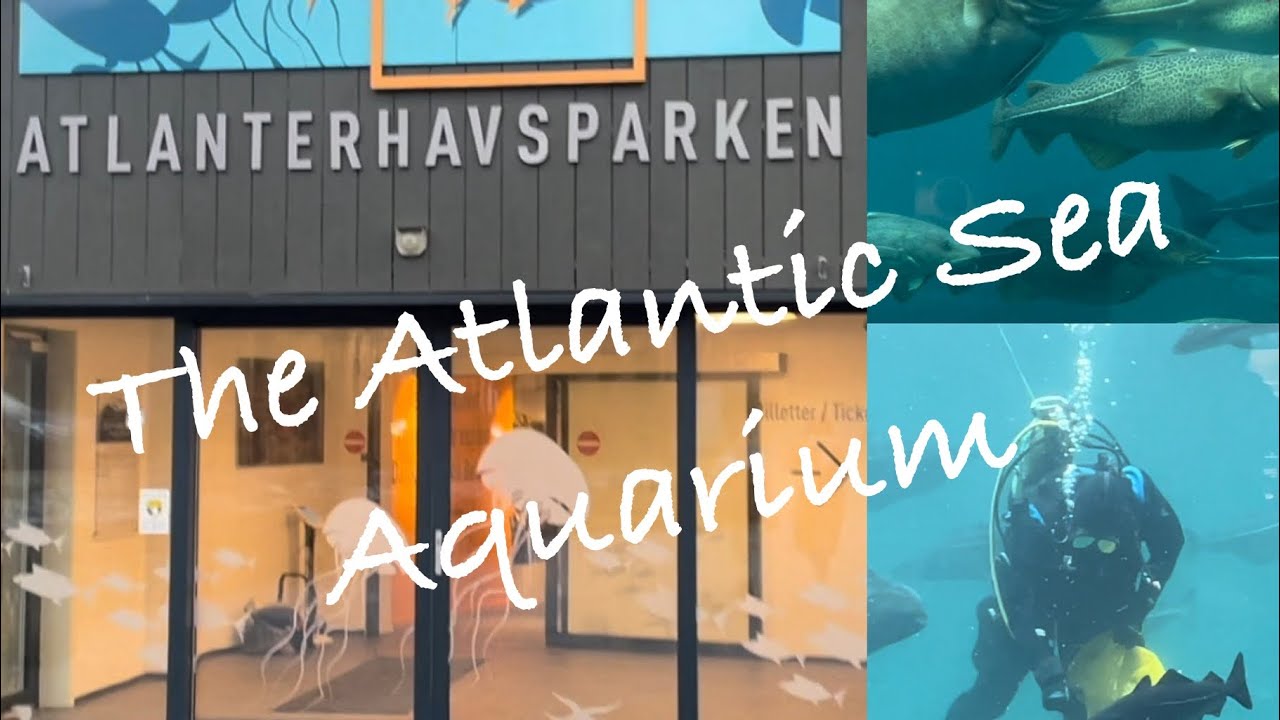 Visiting one of Europe’s largest saltwater aquariums; Atlanterhavsparken in Ålesund, Norway