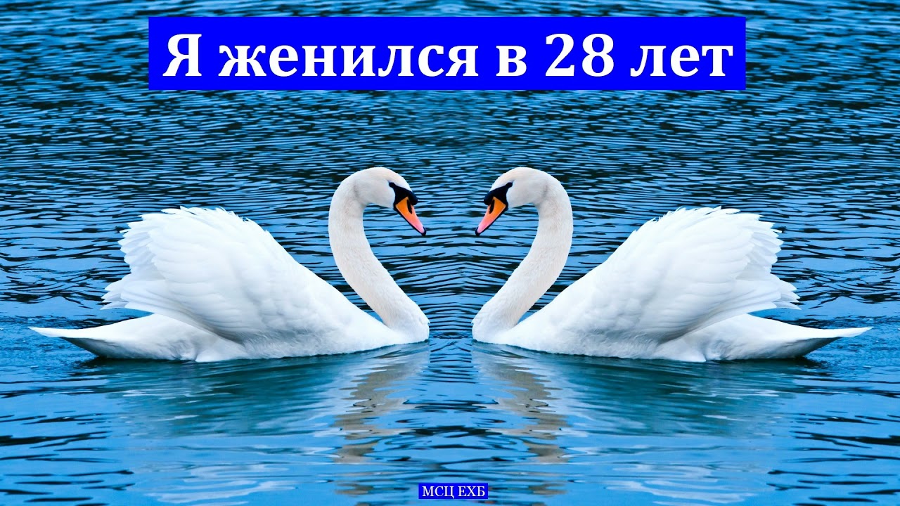 Я женился в 28 лет ... Свидетельство. Ю. Гирич. МСЦ ЕХБ