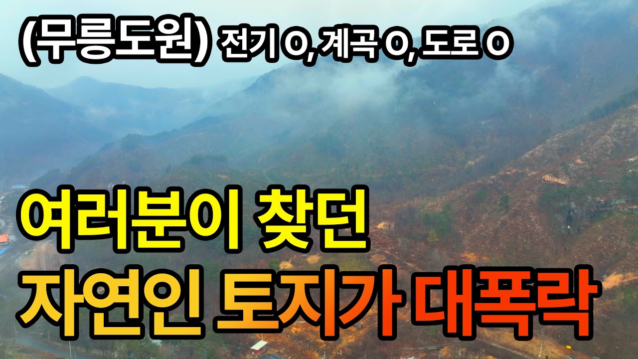 여러분이 찾던 자연인 토지가 대폭락! 이곳이 무릉도원 전기, 계곡, 도로 다 있다!!!