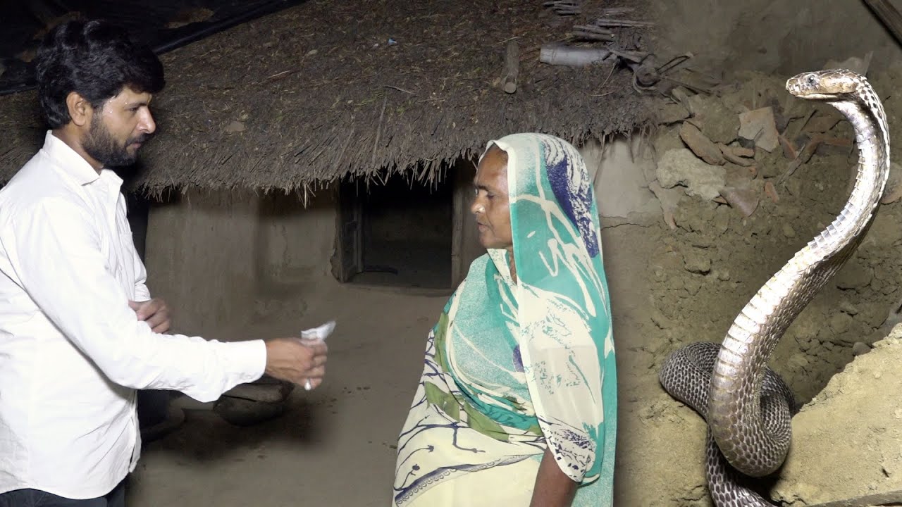 जानिए कुछ रहस्यमयी बाते ब्रिटिश जमाने के इस खंडहर में मिला नाग नागिन, इसे ही कहते है दो वक्त की रोटी