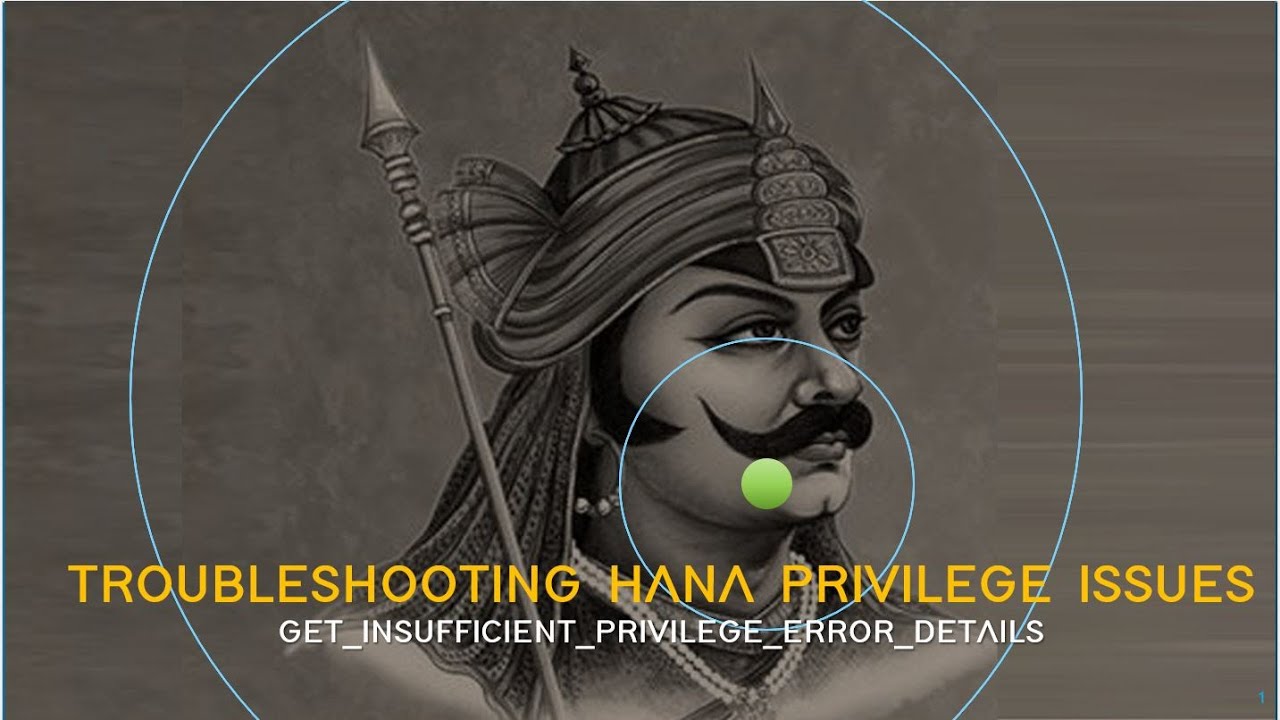 HANA DB SECURITY - TROUBLESHOOTING - USING PROCEDURE