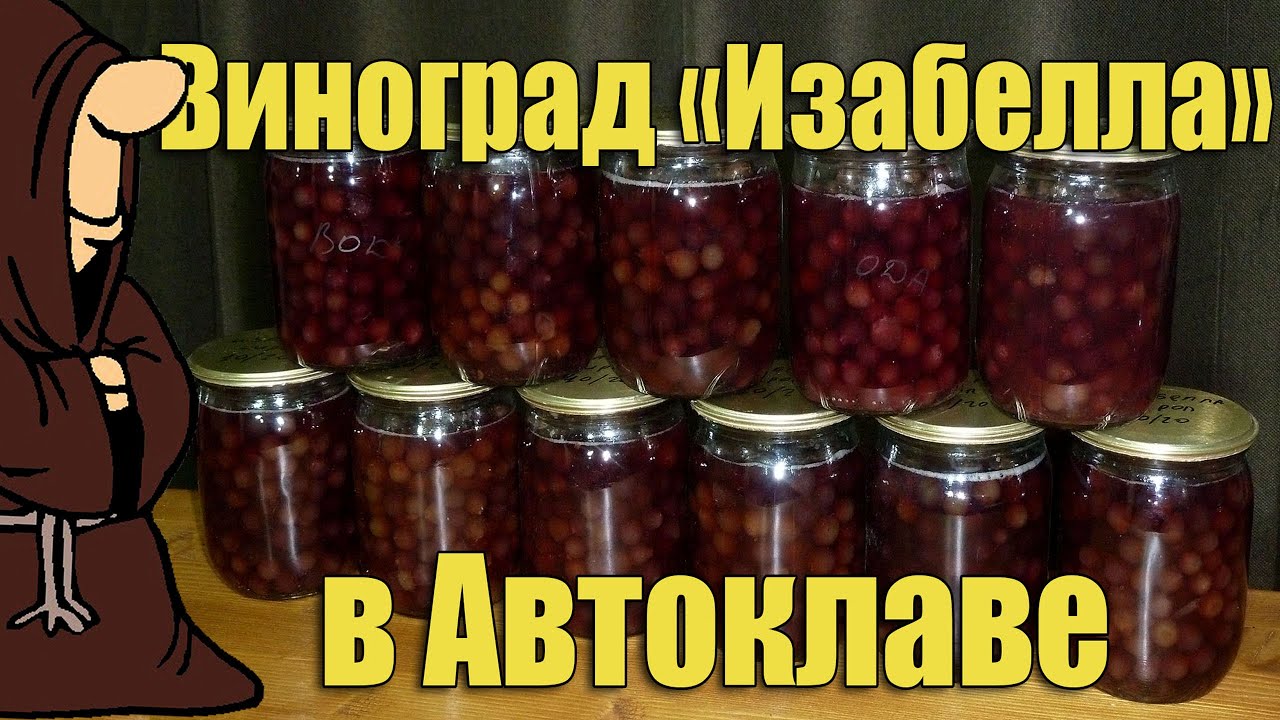 Виноград 