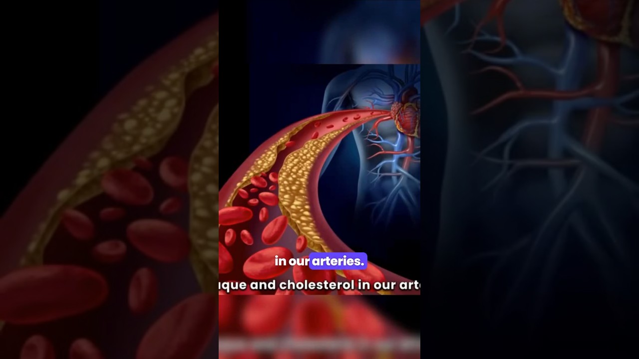 Causes of High Blood Pressure