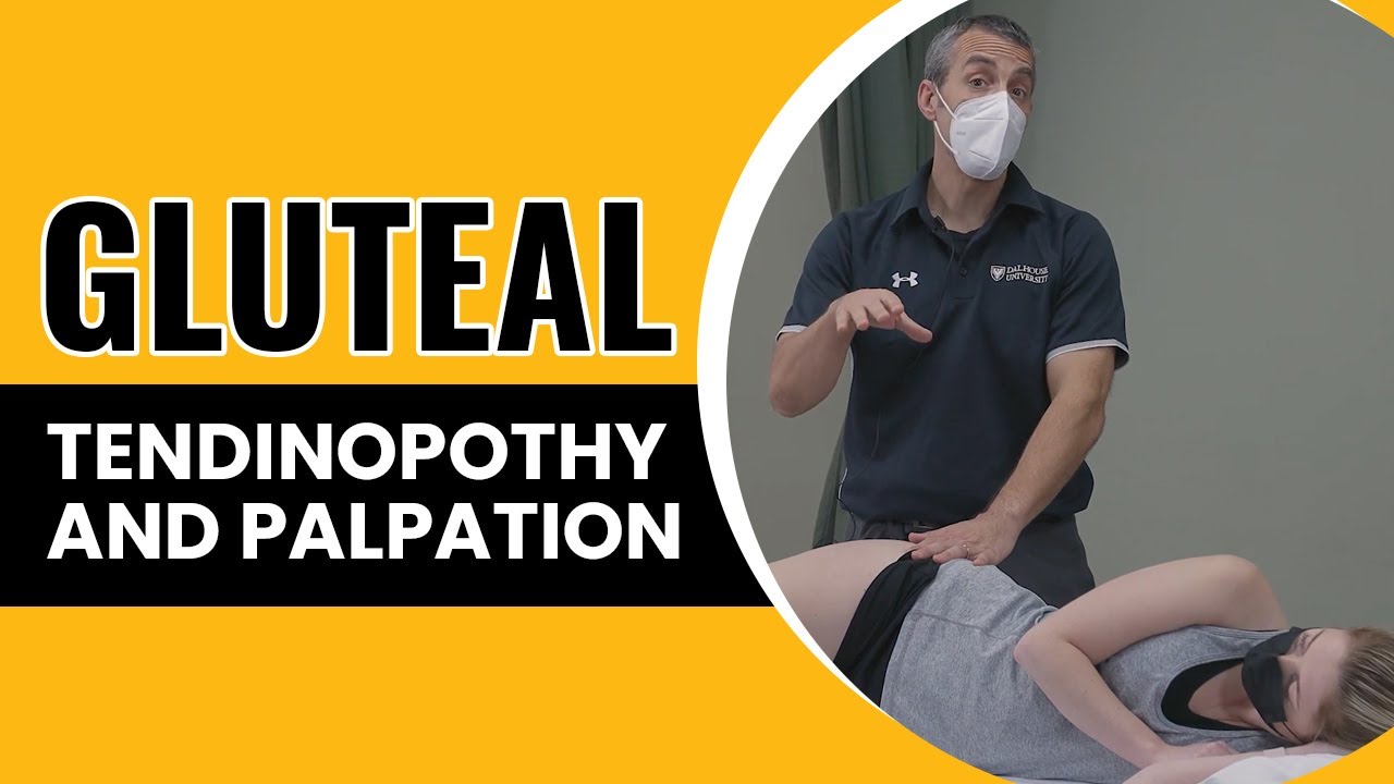 Gluteal Tendinopothy and Palpation