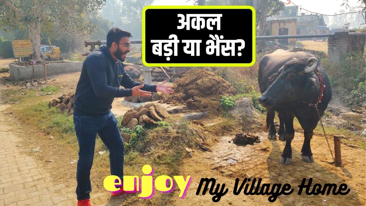 My Village Home | Heritage Home | Sonipat - Haryana Village | Funny Video | Tarun Nharwal Vlogs