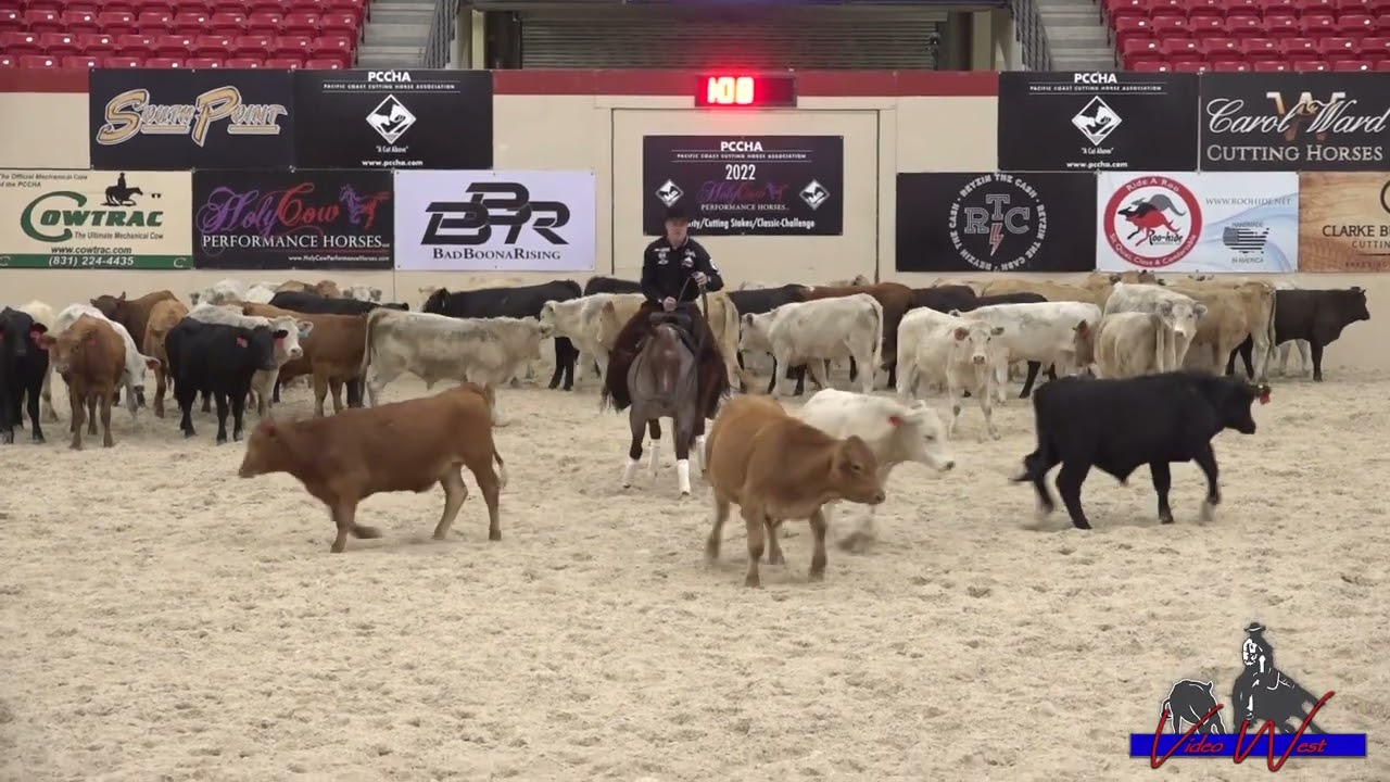 Third Edge and Wes Galyean – 2022 PCCHA 4-Year-Old Open Champions