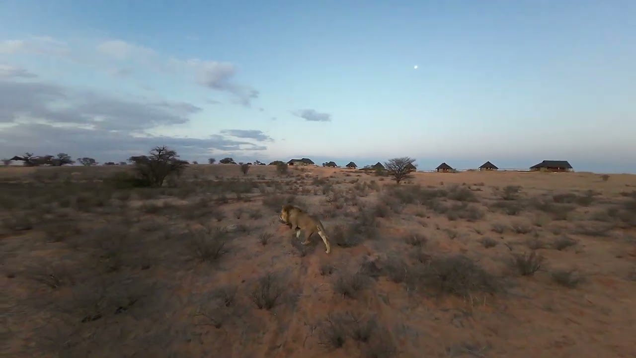 Tashebube, Rooiputs Lodge fly through - Botswana