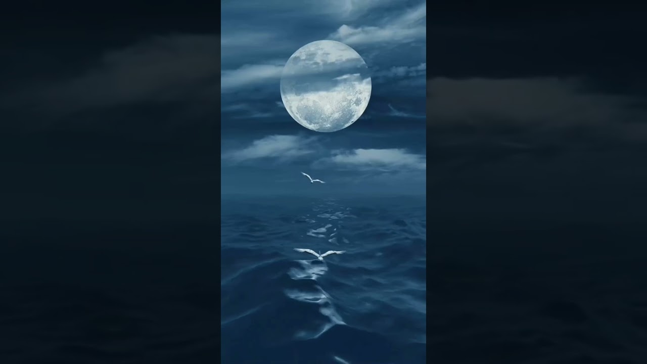 ما الهوى؟ كلمات فاروق الصلوي إلقاء عبدالله المعيني