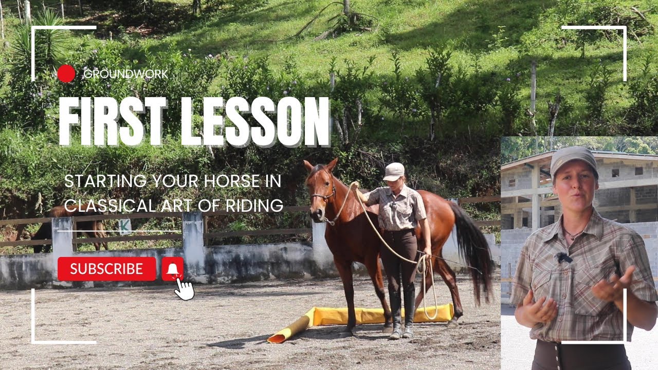 Starting Your Horse in Classical Art of Riding: First Lesson - Groundwork Exercises