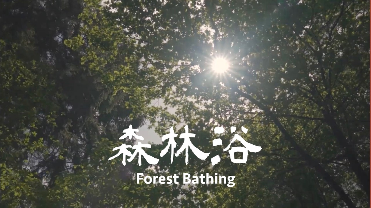 森林浴 Forest Bathing