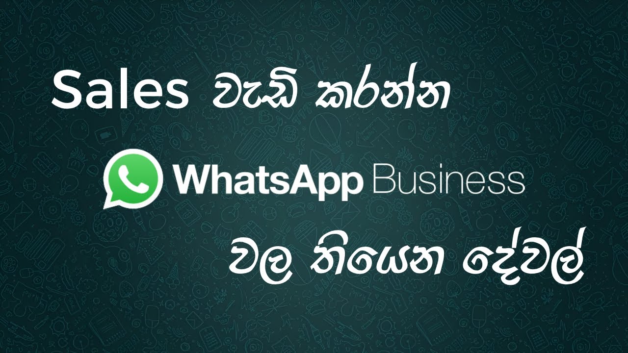 WhatsApp Business Complete Guide - Boost Sales Significantly | Full Tutorial | Sinhala
