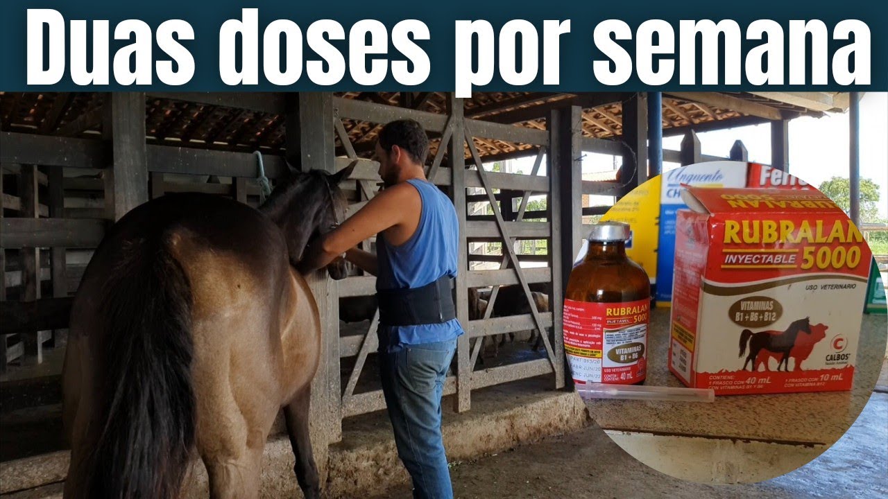 APLICAÇÃO DE RUBRALAN NA CHITARA