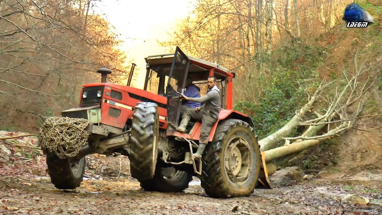 🚜Tractor SAME LASER 110 Tractor🚜 în Acțiune la Pădure/Hard Work in the Forest  - 16 December 2020