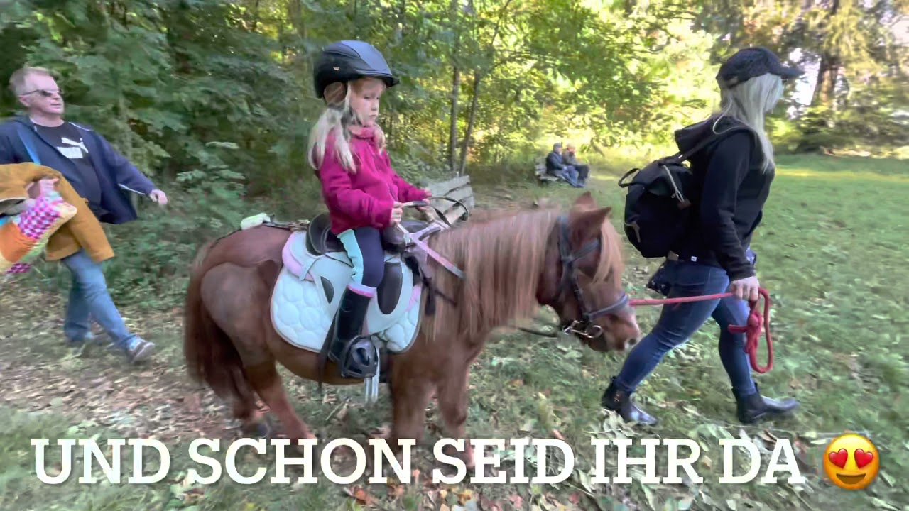 Ponywanderung - Pony ToGo