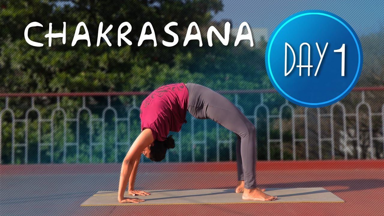 Day 1 of 7 days Chakrasana Practice | Yoga For Beginners