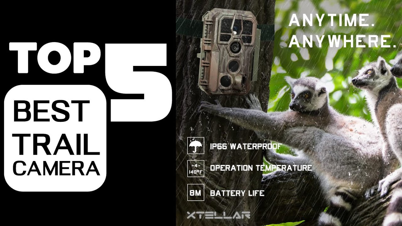 TOP 5 Best Trail Camera 2022 Buying Guide
