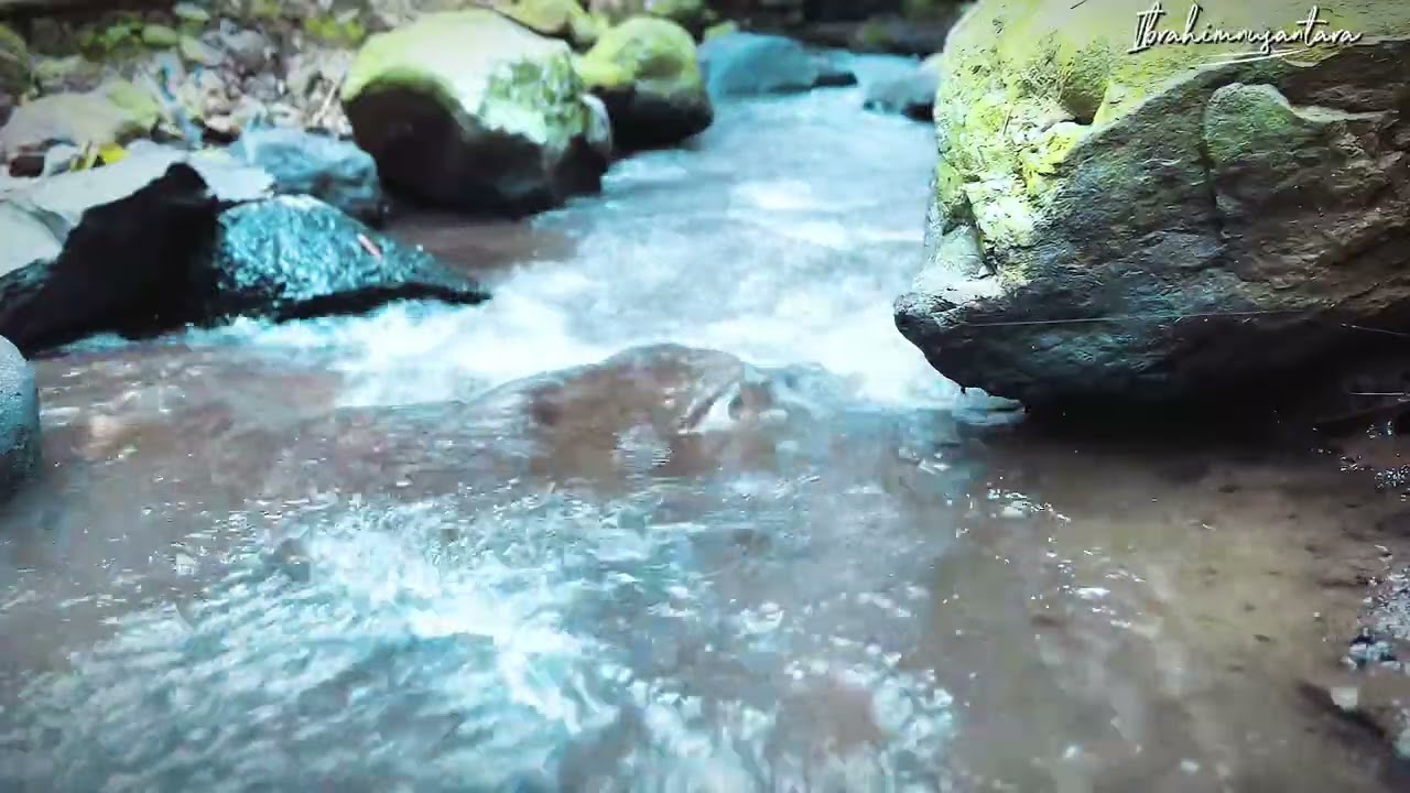 Sounds of river water in the beautiful forest for a calmer, more peaceful day &  sleep, ASMR, Nature
