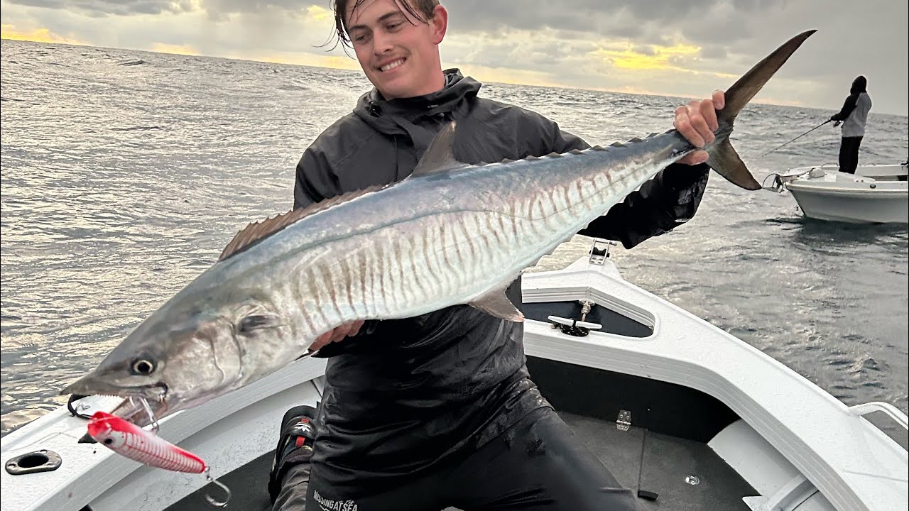 Popping for Spanish Mackerel
