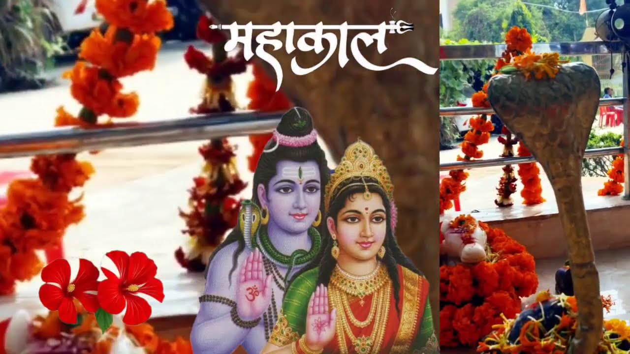 14 फरवरी शनिवार प्रदोष व्रत के दिन 3 लौंग वाला उपाय जरुर करें #panditpradeepmishra#upay #shivpuran 