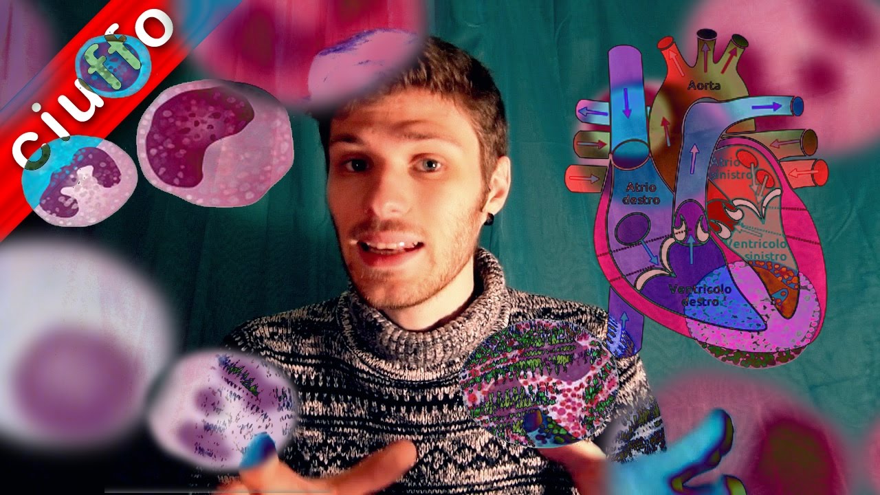 Patologie cuore e apparato emopoietico: presentazione