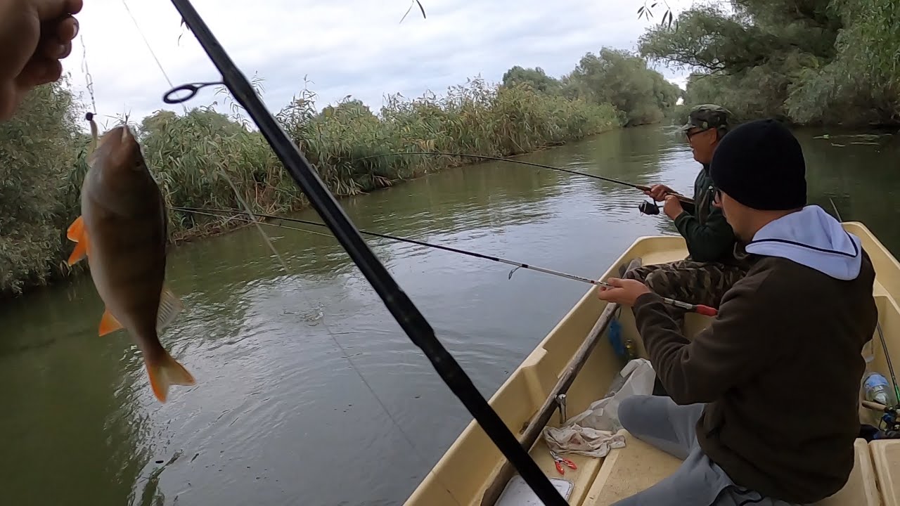 Pescuială la biban cu Andrei și tatăl lui în Delta Dunării 🐟🎣