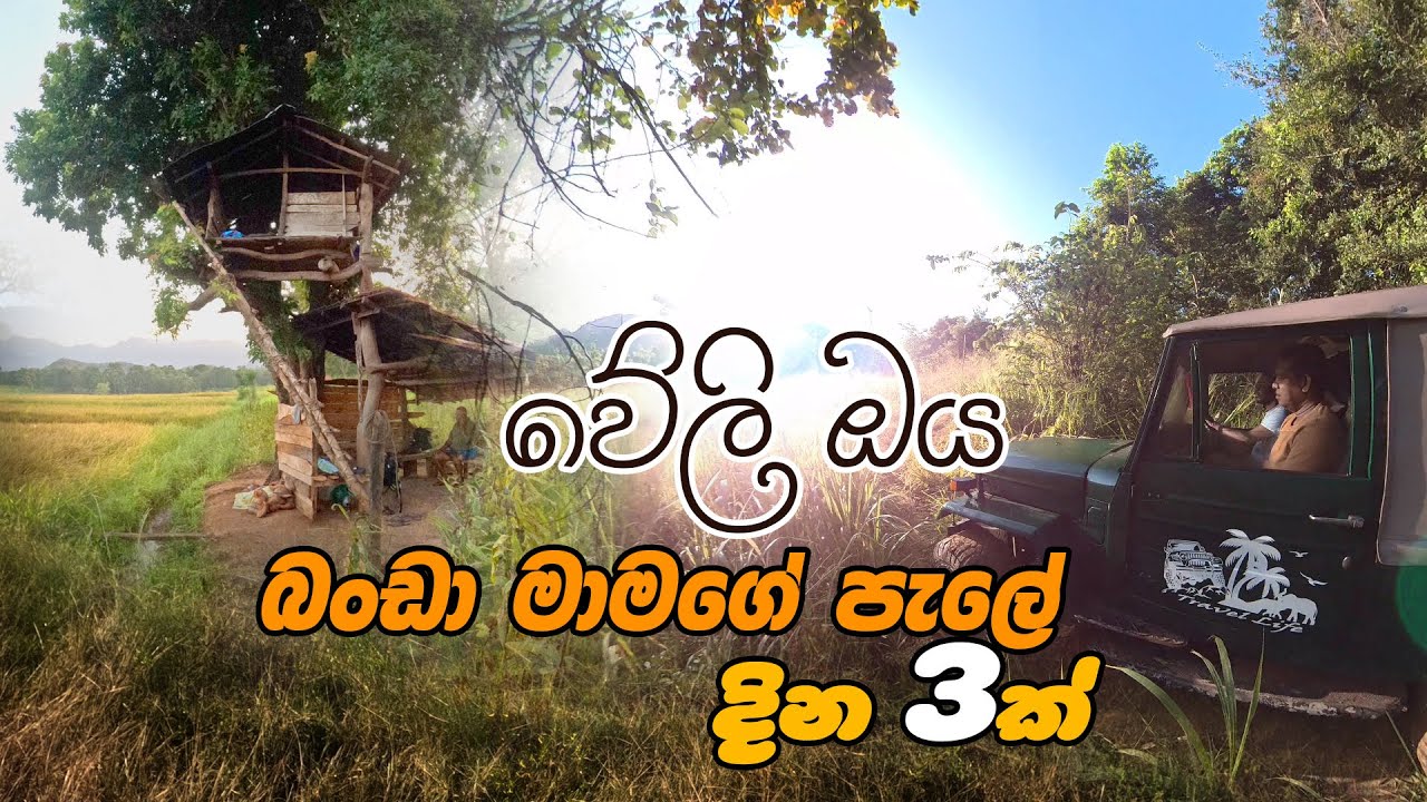 weli oya trip | වේලි ඔය බංඩා මාමගේ පැලේ දින 3ක් | #travel  #srilanka  #nature