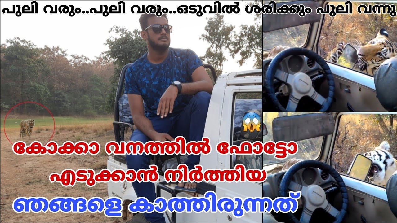#Ep13 Tiger attacking safari gypsy while Koka jungle safari | YathraToday