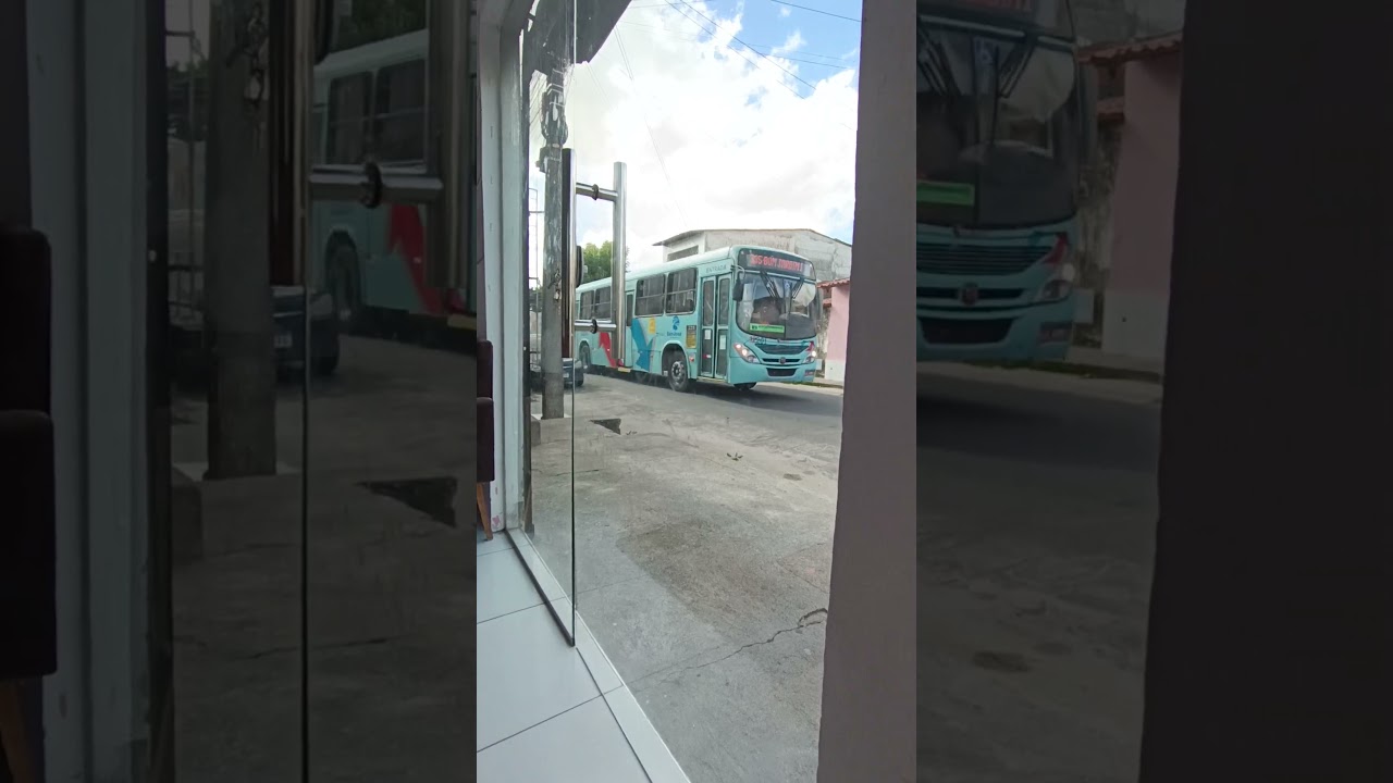 os ônibus do 335 bom jardim 1 e 336 santa cecilia 1