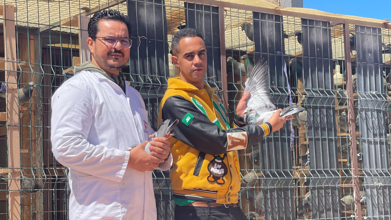الحلقة 43 : سلسلة التعريف بالسلالات🥇🏆 مع الأسطورة البشوش⬅️ بسيم اليعقوبي🧨💥