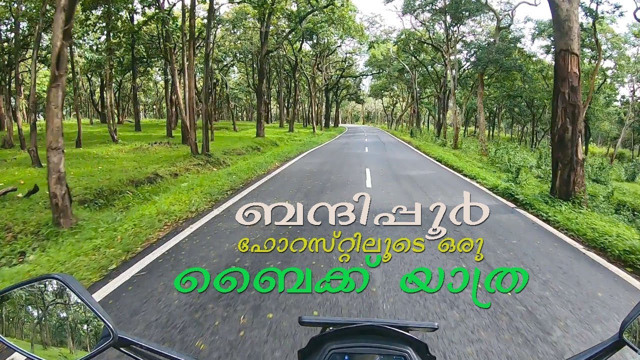 ബന്ദിപ്പൂർ കാട്ടിലൂടെ ഒരു ബൈക്ക് യാത്ര