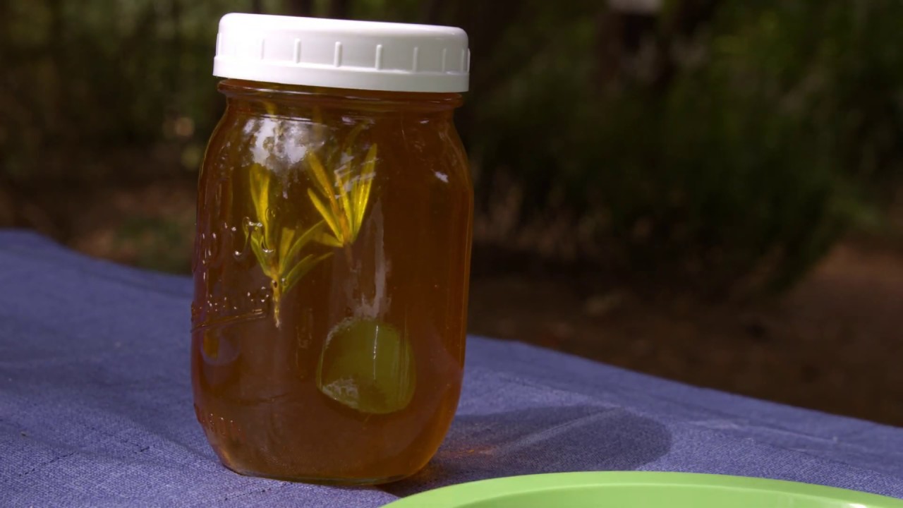 Infusing Honey with Fresh Herbs