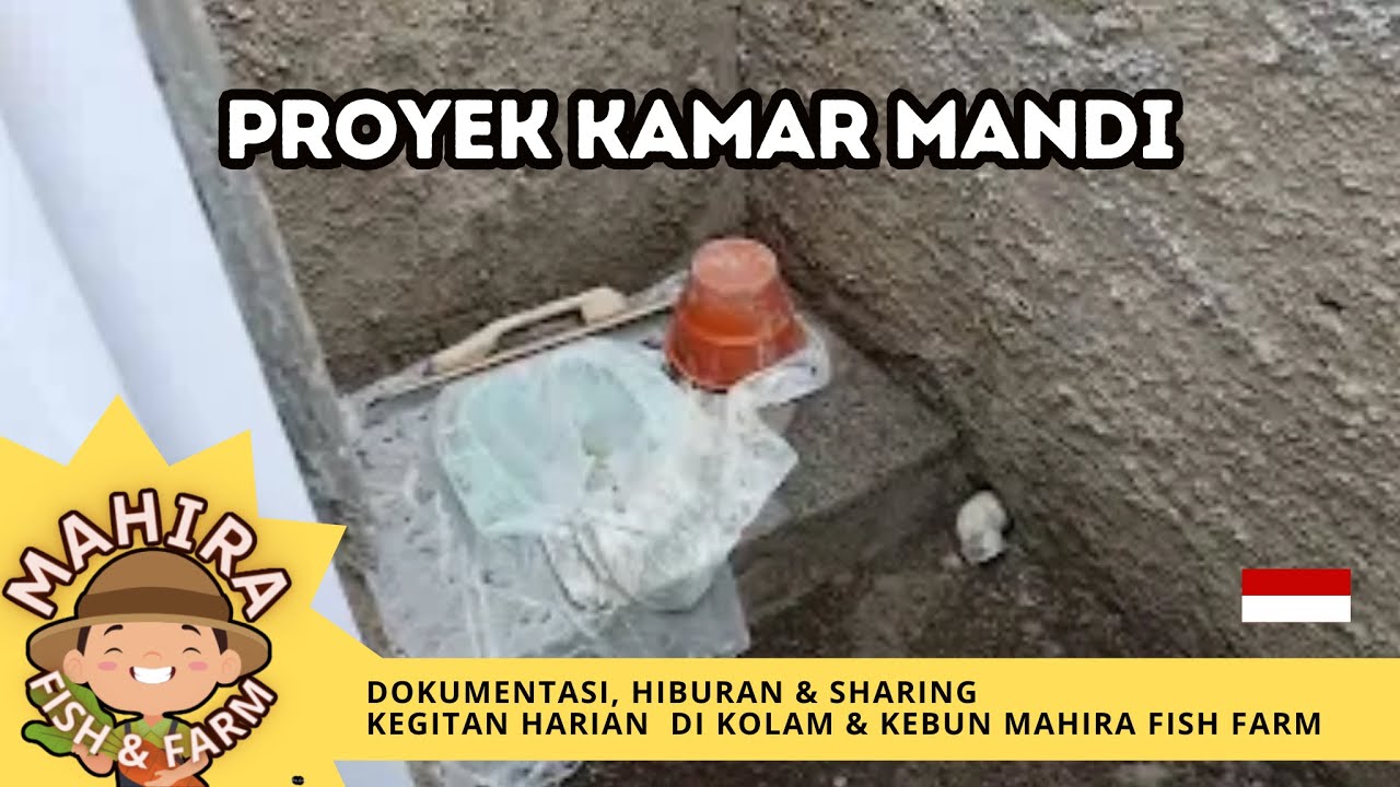 MEMBANGUN TOILET agar lebih betah di balong | Mahira Fish & Farm 