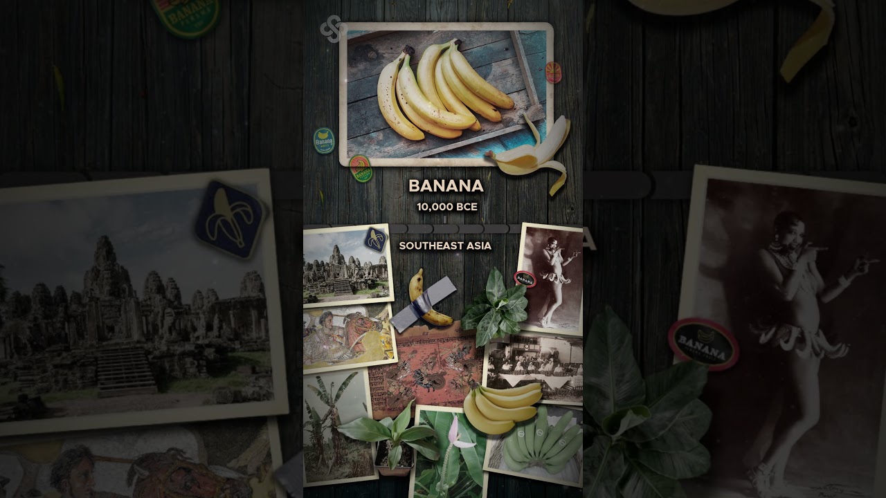 History of Bananas | Things #shorts #superstory