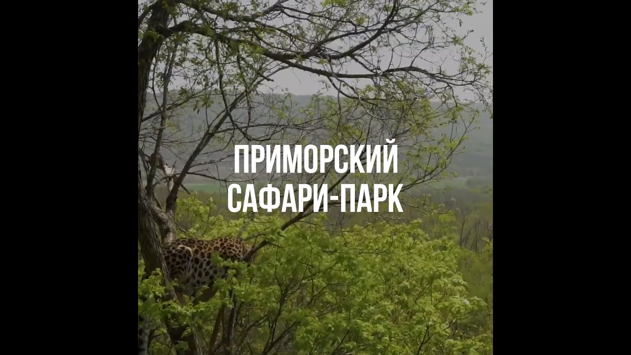 100 лучших мест Союзного государства. Приморский сафари-парк