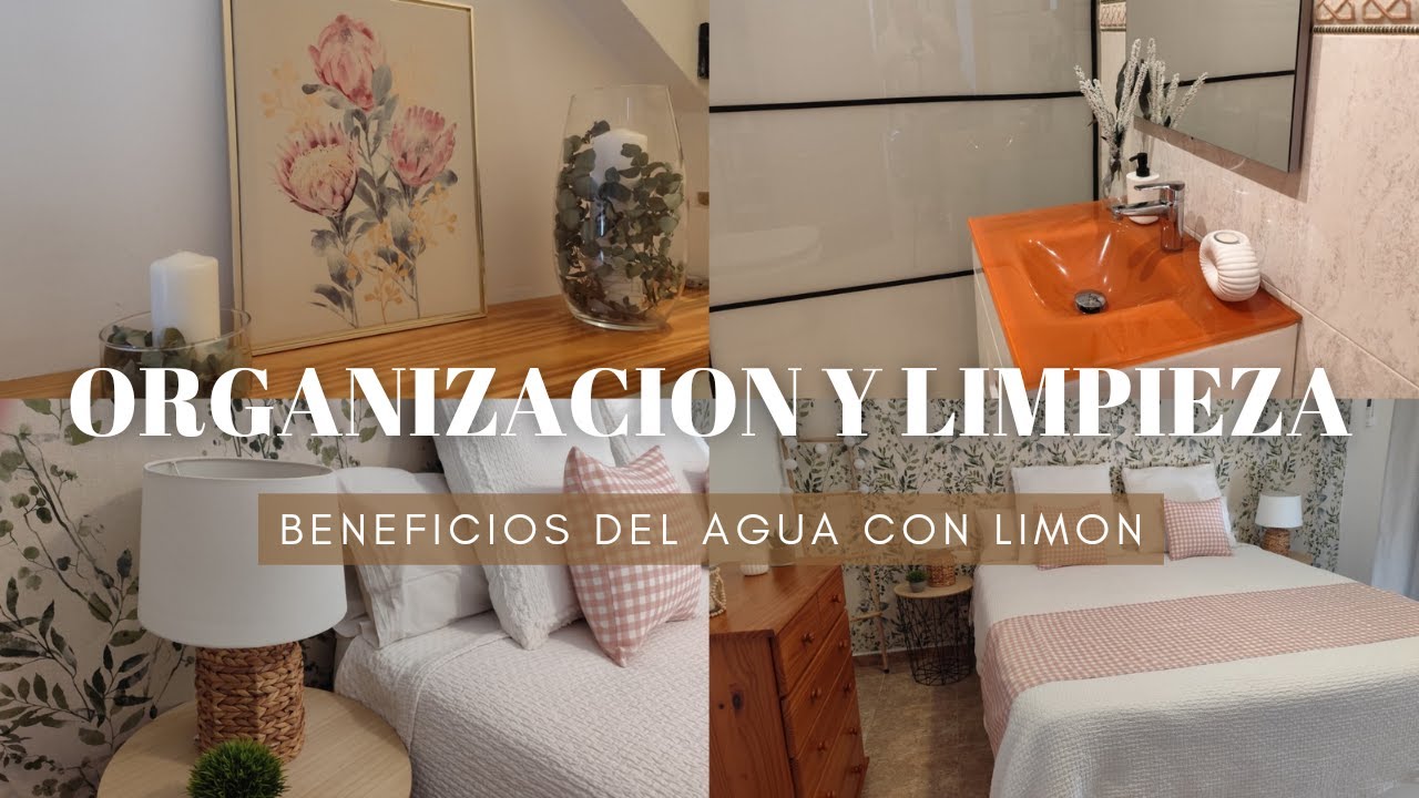 ORGANIZACION Y LIMPIEZA
