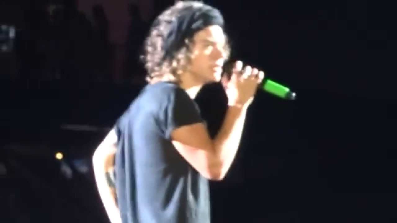 Diana (walk thru) - One Direction Gillette Stadium  8/9/14