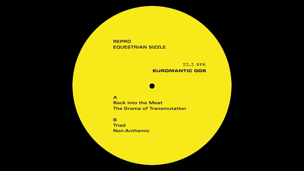 Repro - Back Into The Meat [EUROMANTIC006]