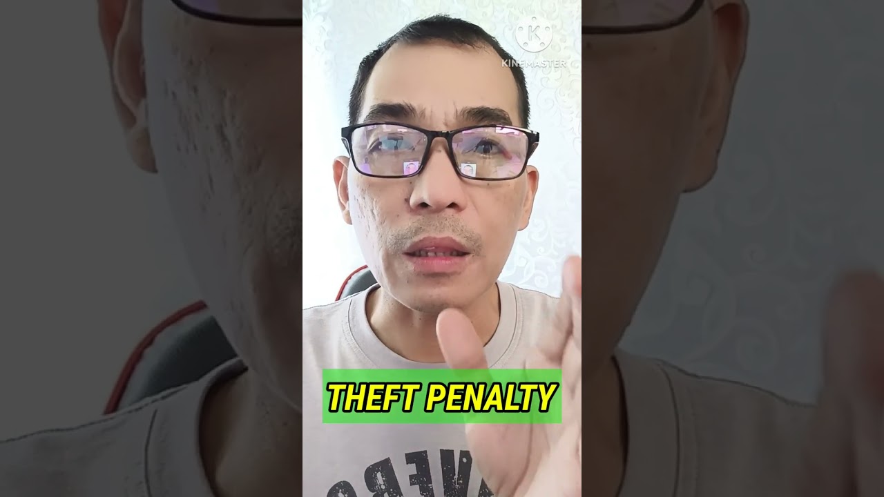 THEFT PENALTY TRUE EXPERIENCED REALITY CASE