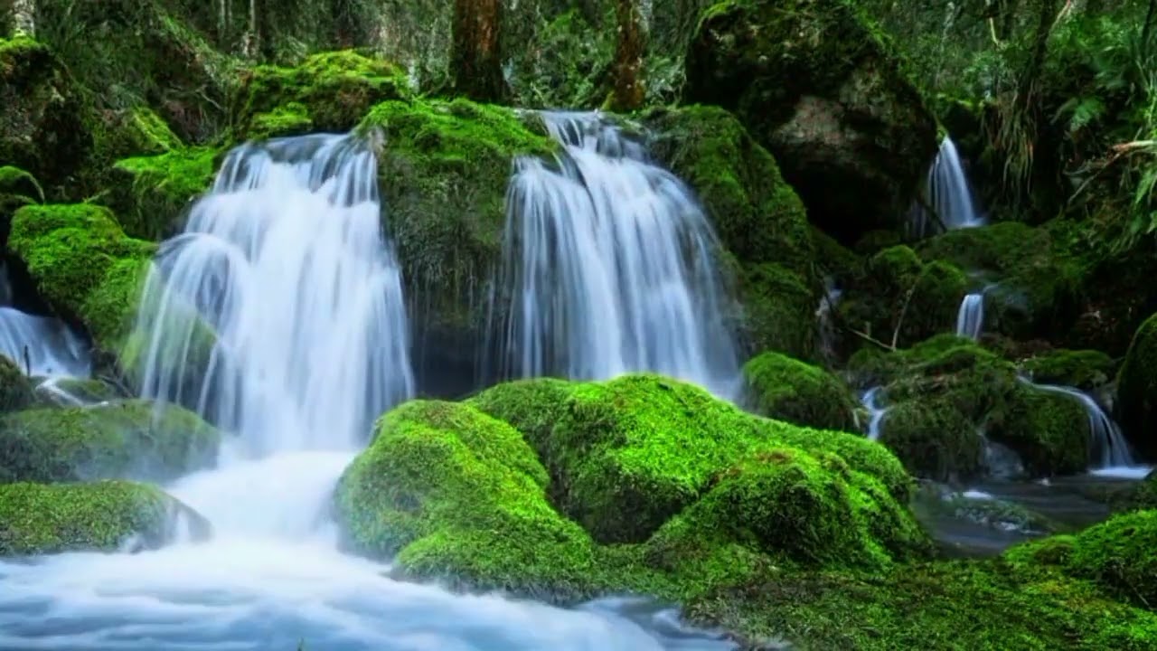 Waterfall sound White Noise for Insomnia Relief 🌙 Forest Ambience for Deep Sleep & Stress Reduction