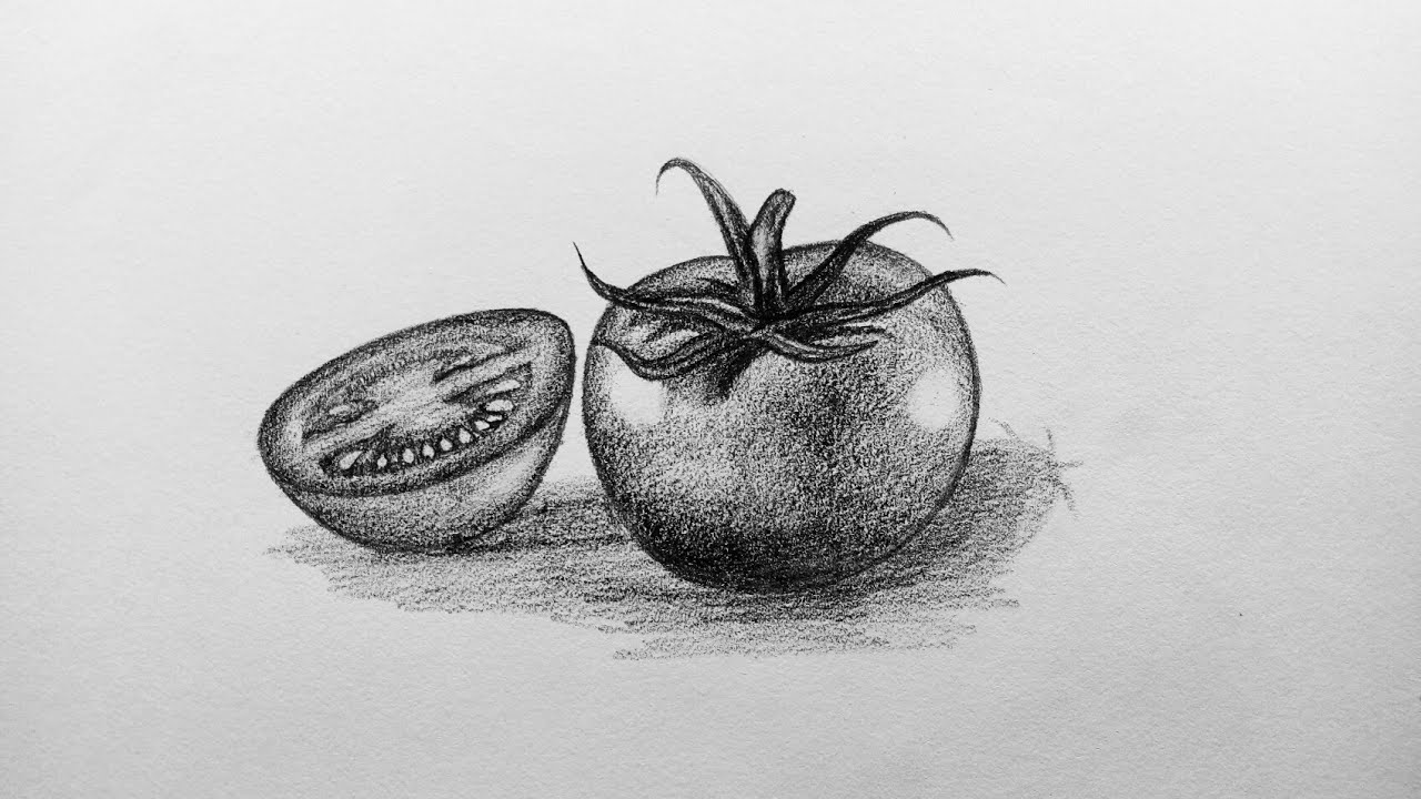How to Draw tomato easy and step by step or shading for beginners