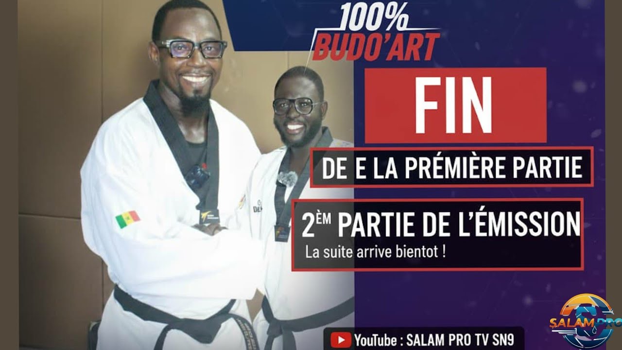 partie 2 L'EMISSION 100% BUDO'ART: