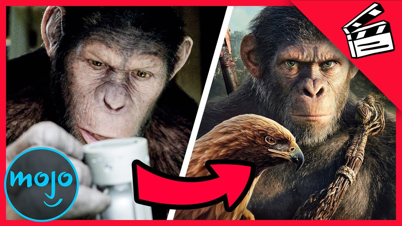 ¡Explicación de la cronología de 