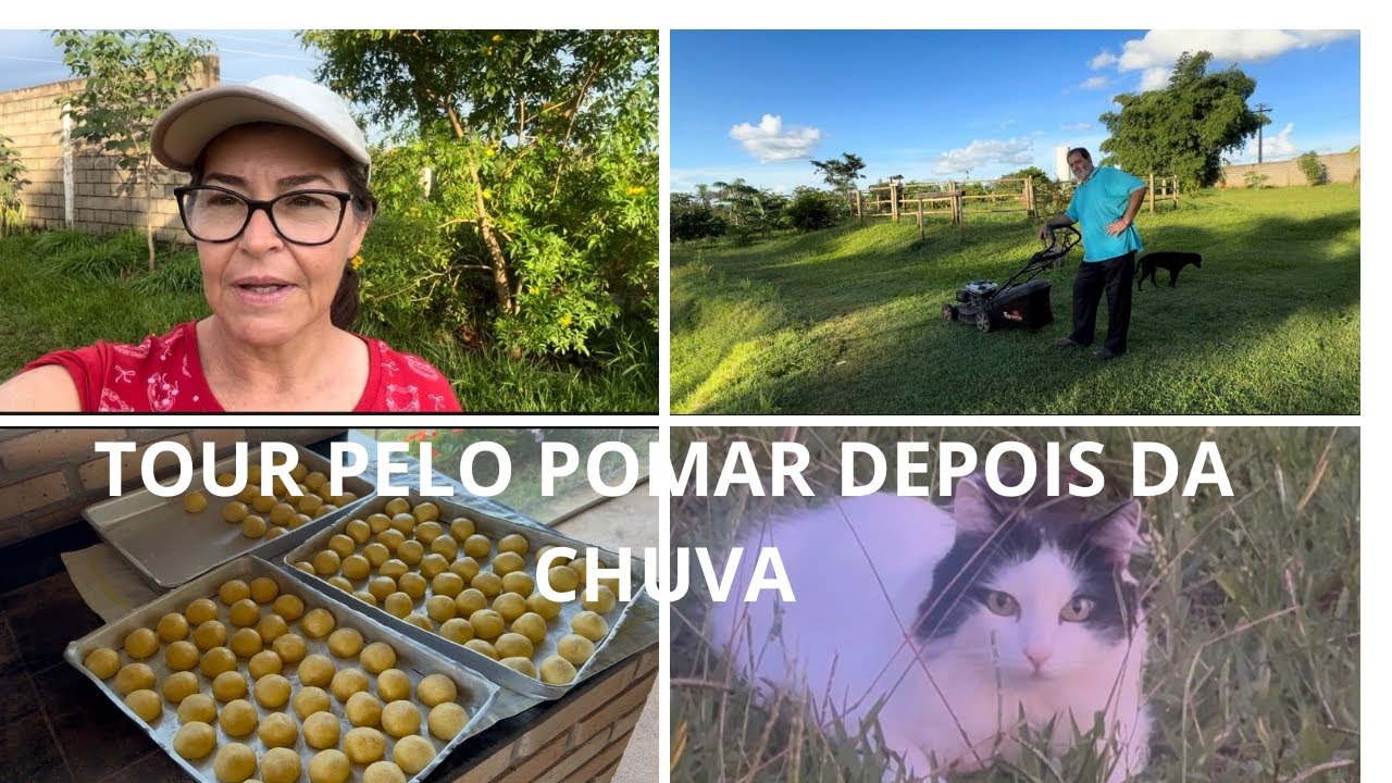 Manhã de Neblina na Roça | Tour pelo Pomar🌱e Pão de Queijo Caseiro🥙